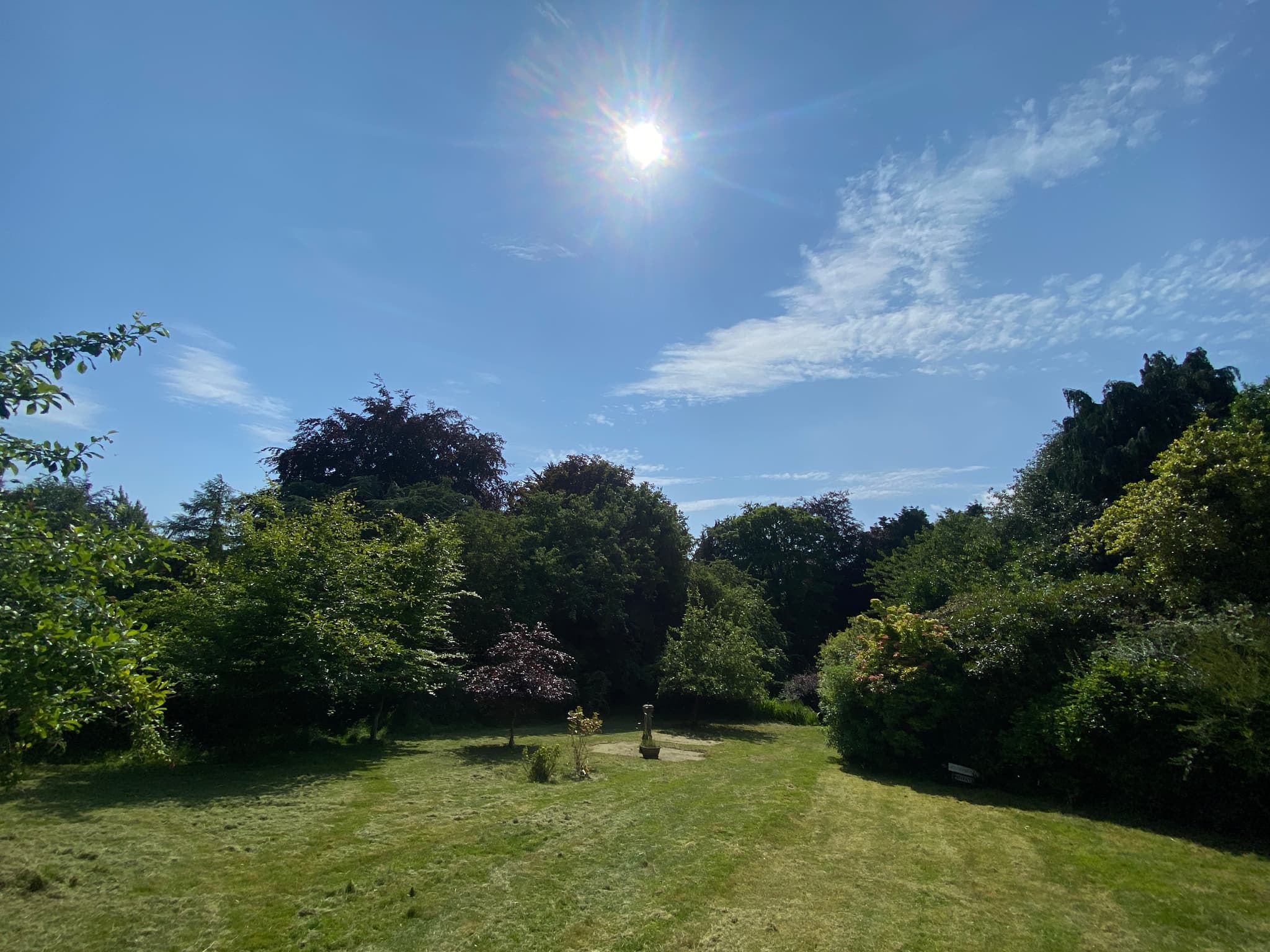 Real Clear project in St Andrews