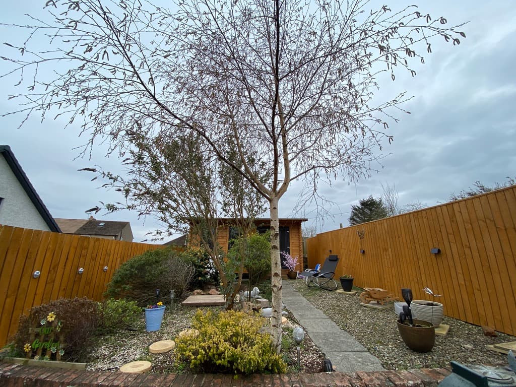 Stunning Craigrothie garden after jet wash, masonry painting and fence painting